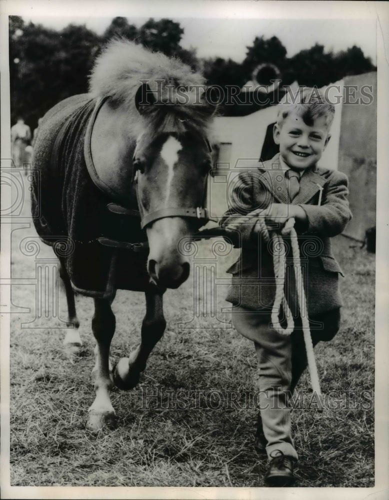 Load image into Gallery viewer, 1955 Press Photo Newton Abbot Showing Pony At Royal Richmond Horse Show
