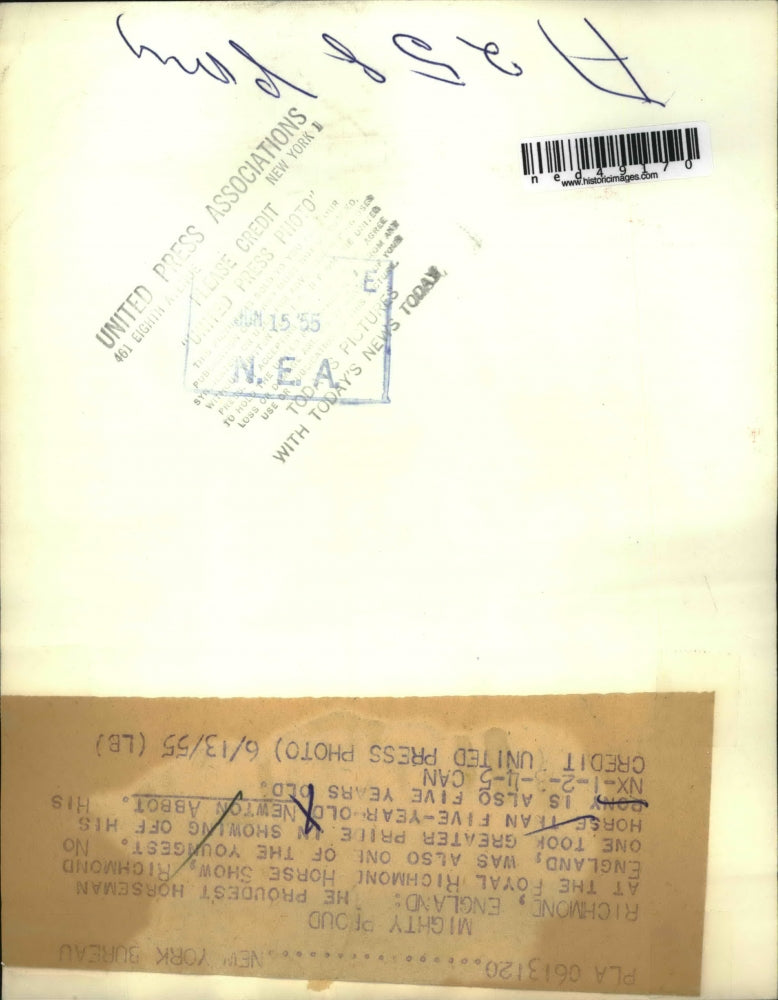 1955 Press Photo Newton Abbot Showing Pony At Royal Richmond Horse Show