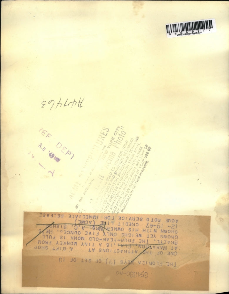 1947 Press Photo A.C. Bishop With Pet Brazilian Monkey In Marathon Gift Shop