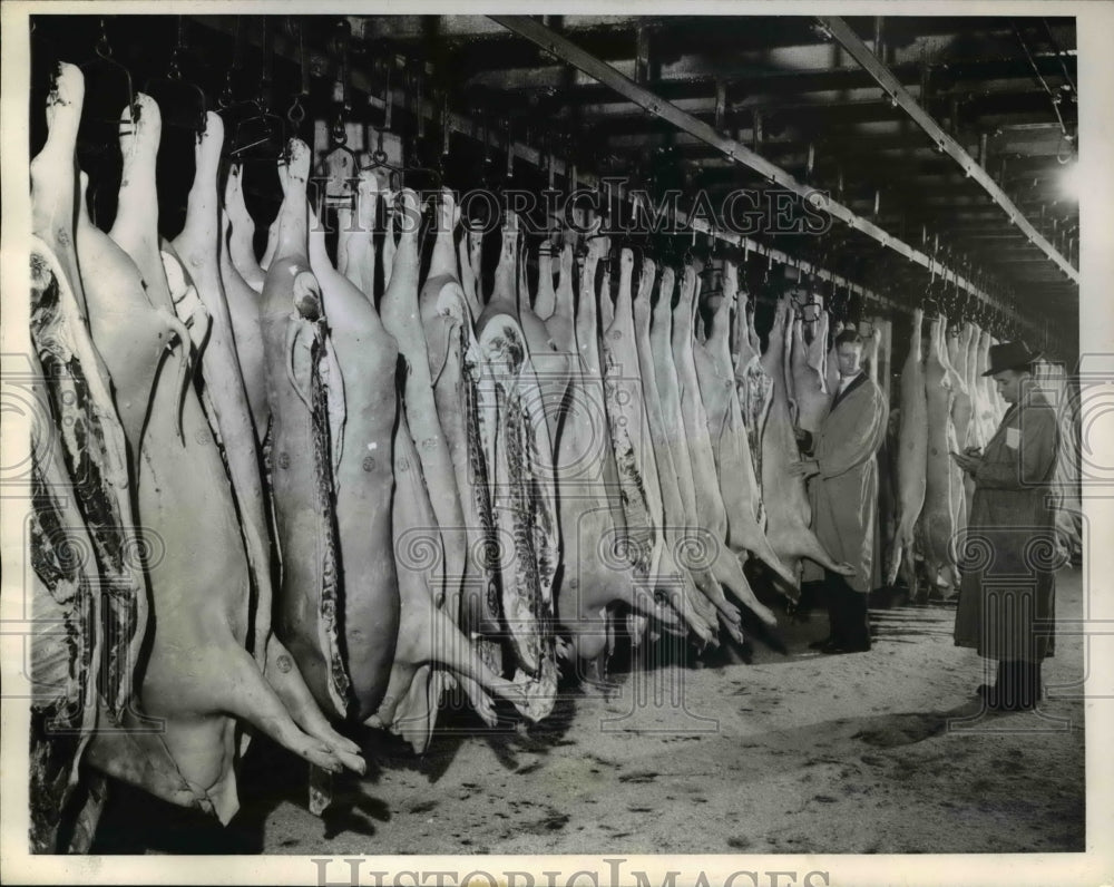 1943 Press Photo Inspectors checked hog carcasses in a packing house cool-room