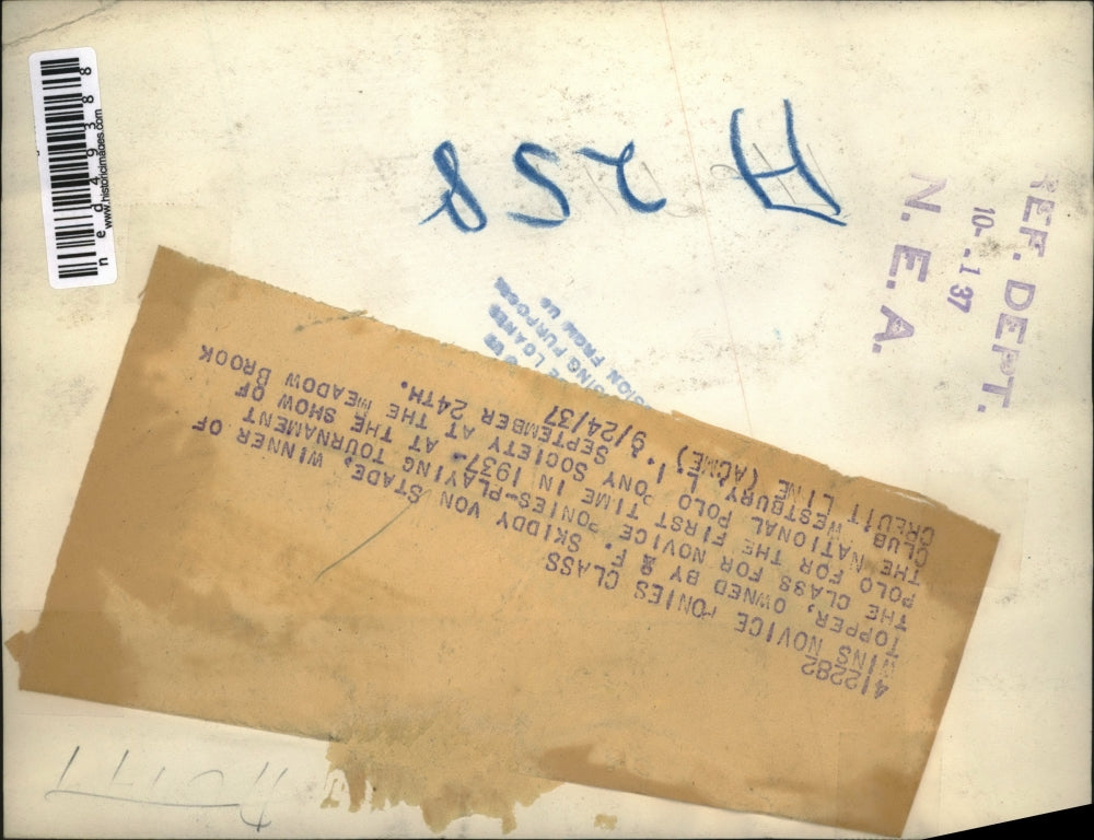 1937 Press Photo Topper, winner of the class novice ponies-playing tournament