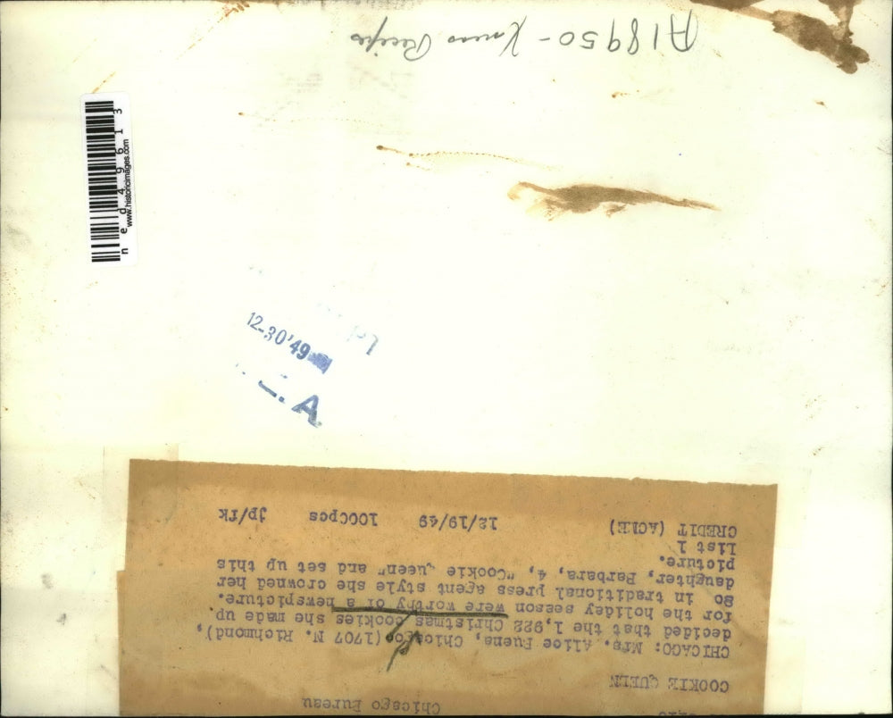 1949 Press Photo Barbara Buena, Cookie Queen, with 1,922 Christmas cookies