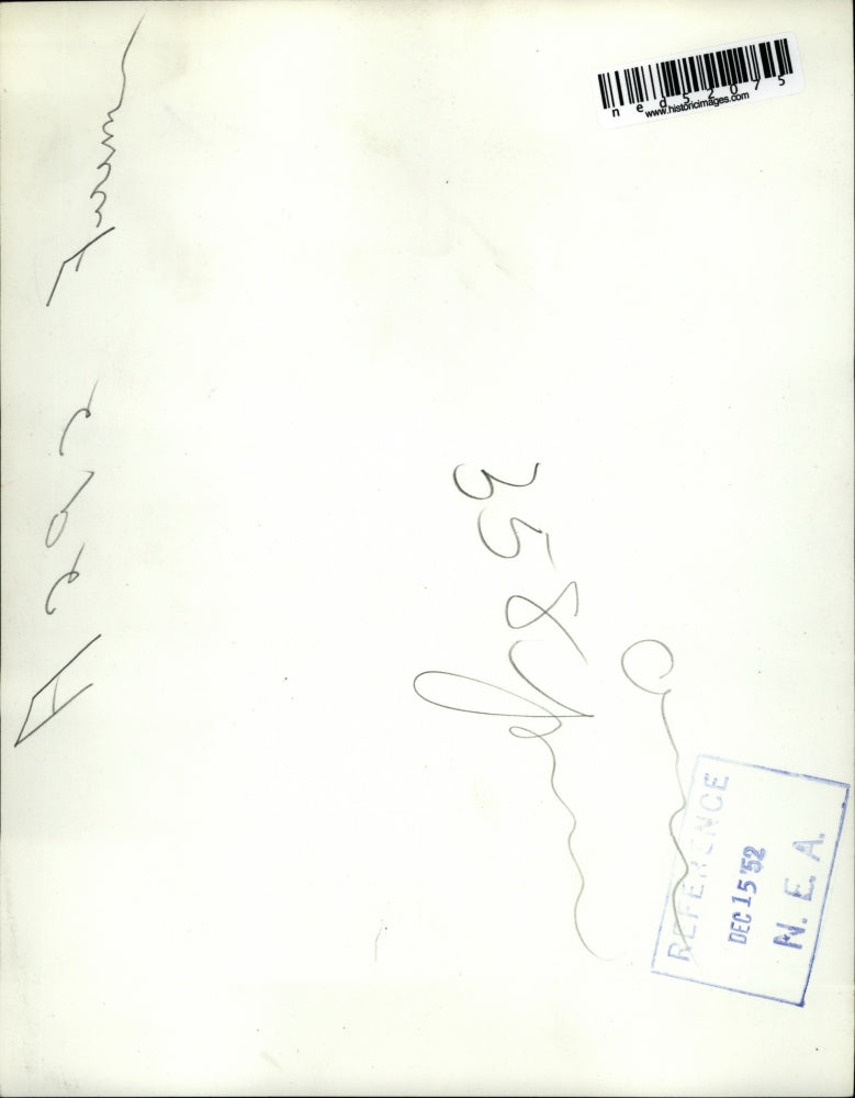 1952 Press Photo The rescue party found a pup inside the storm drain