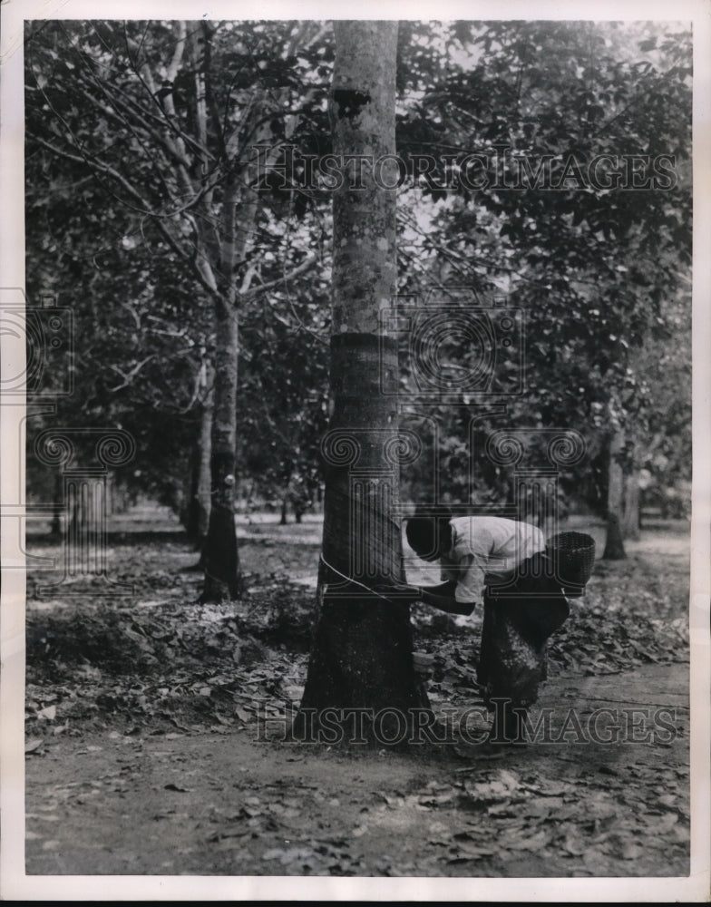 Load image into Gallery viewer, 1940 Press Photo Native woman tapping rubber on Sumatra plantation
