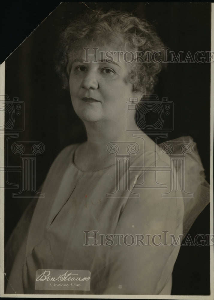 1931 Press Photo Mrs. E.H. Fishman