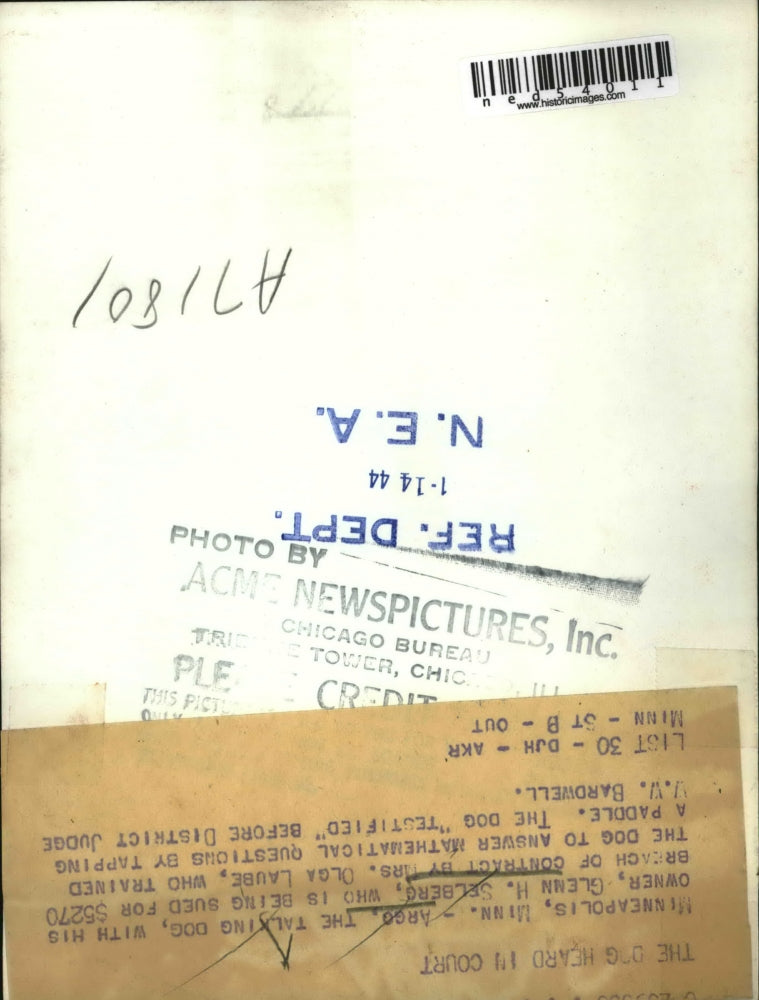 1944 Press Photo The Talking Dog, With His Owner, Glenn H. Selberg