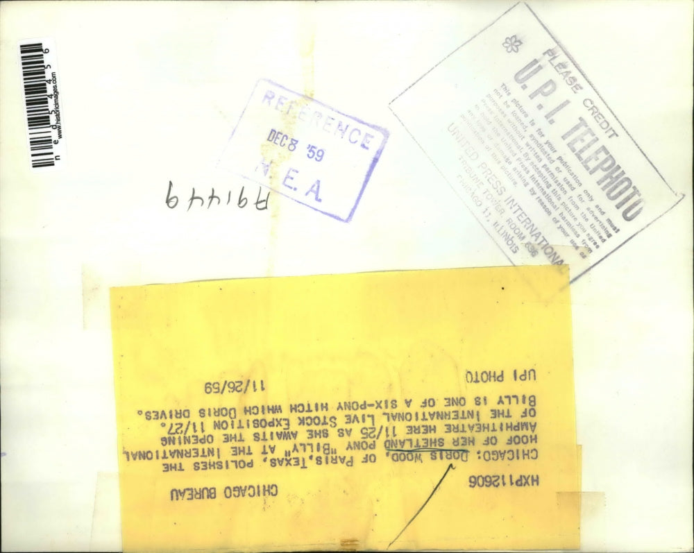 1959 Press Photo Doris Wood Polishes Billy's Hoof