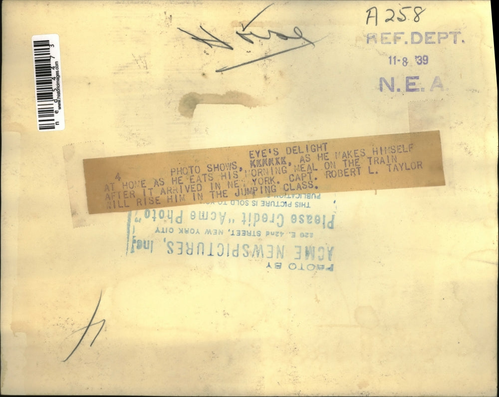 1939 Press Photo Capt. Robert Taylor's Horse in his morning meal