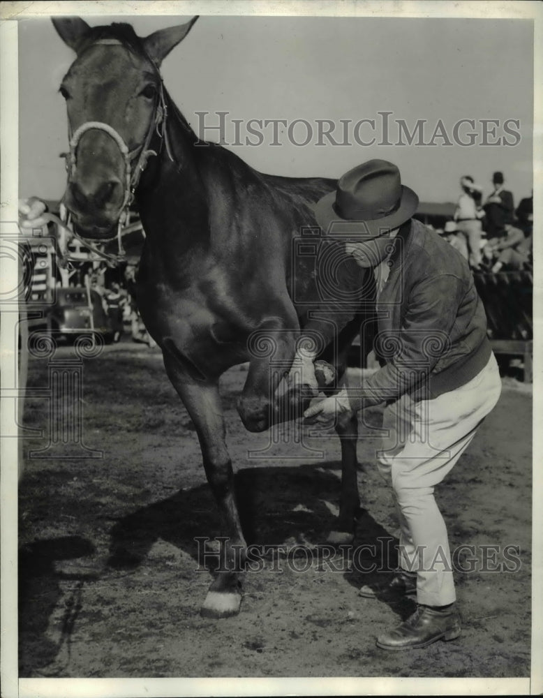 1940 Press Photo Colonel Dean, Examines Sale Horse