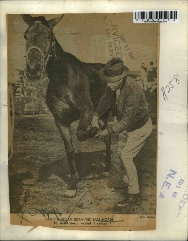 1940 Press Photo Colonel Dean, Examines Sale Horse