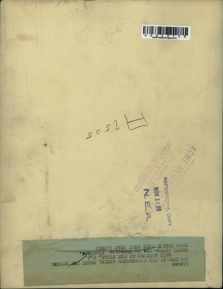 1929 Press Photo Mrs. Thompson Woodland at the Essex Fox Hound Race Meeting