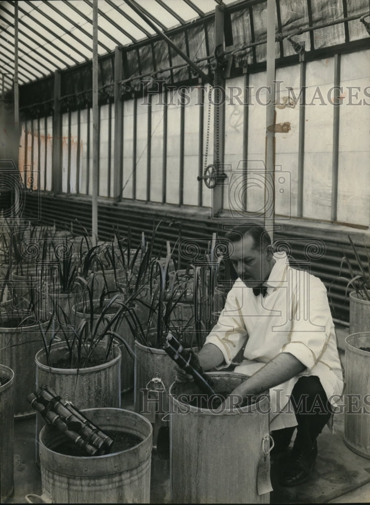 1928 Press Photo Dr. E.W. Brandes, sugar cane specialist of the USDA