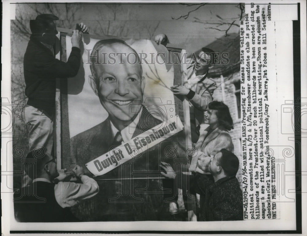 1956 Press Photo Eisenhower's Political Advertising