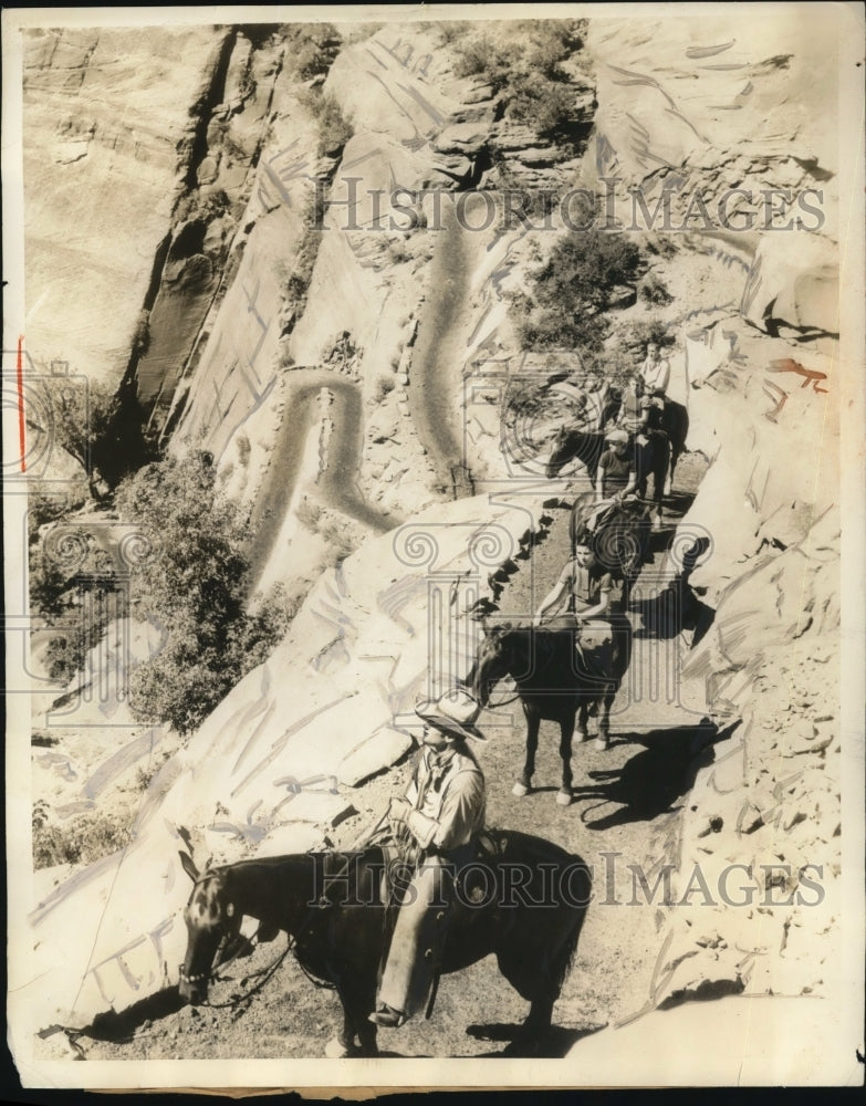 1936 Press Photo The horses at the plateau