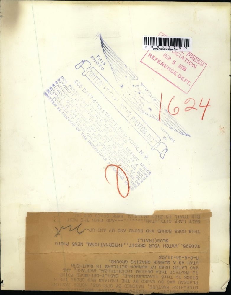 1936 Press Photo The horses at the plateau