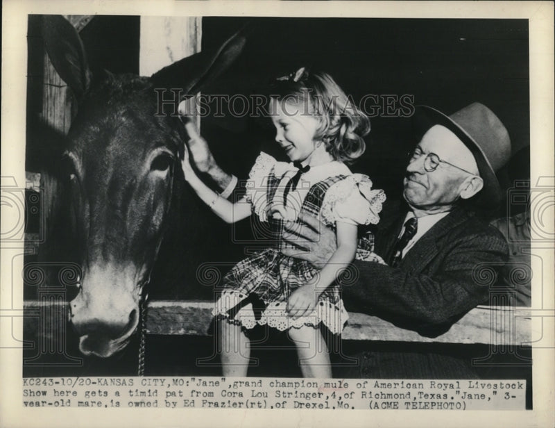 Load image into Gallery viewer, 1948 Press Photo Cora Lou Stringer with the three year old mare
