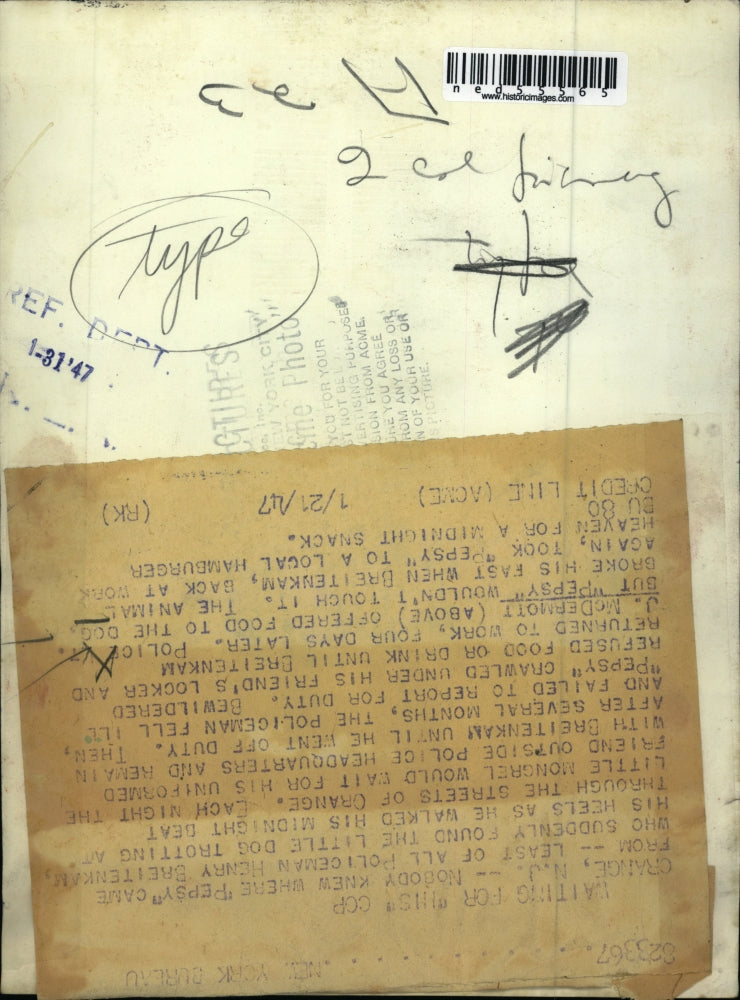 1947 Press Photo Orange NJ Policeman Henry Breitenkam found Pepsy trotting at