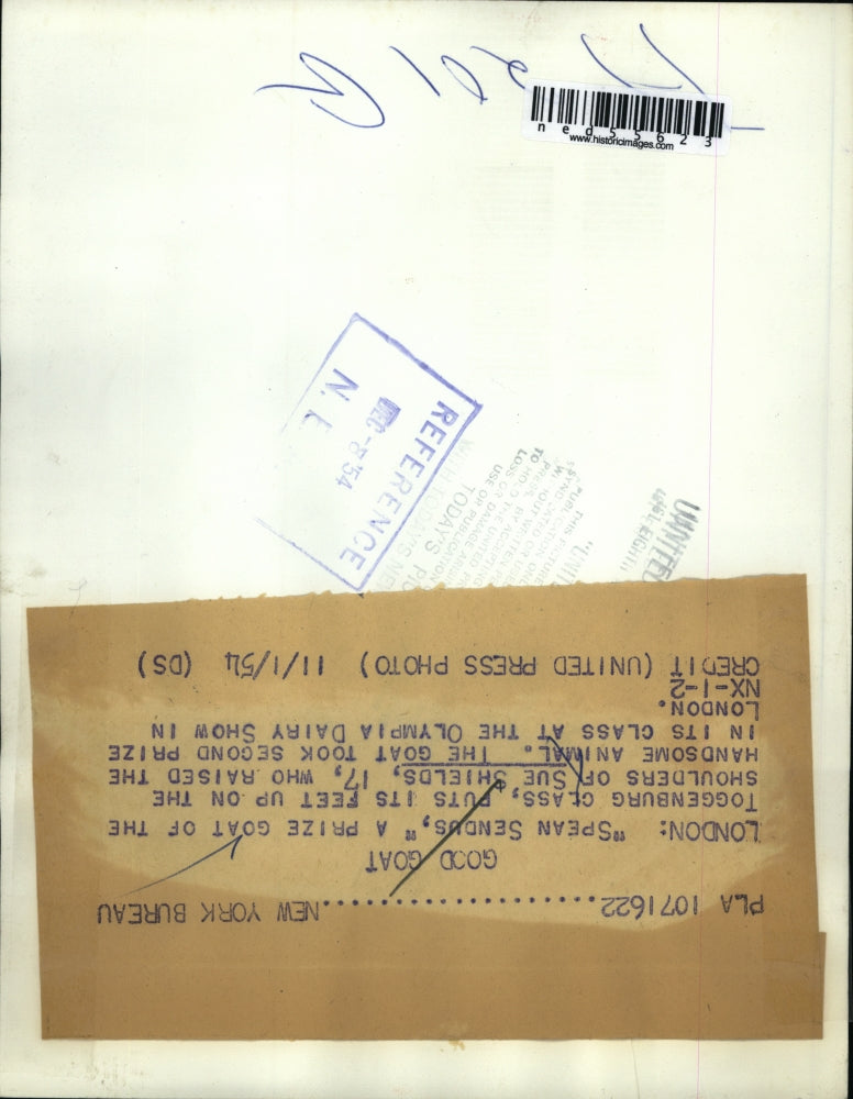 1954 Press Photo London Spewan Sendus prize goat & Sue Shields