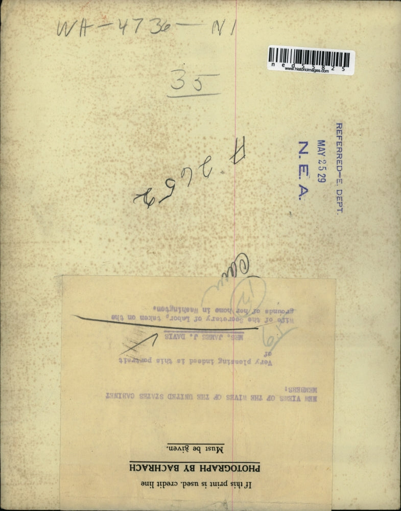 1929 Press Photo Mrs. James Davis , wife of the Secretary of Labor