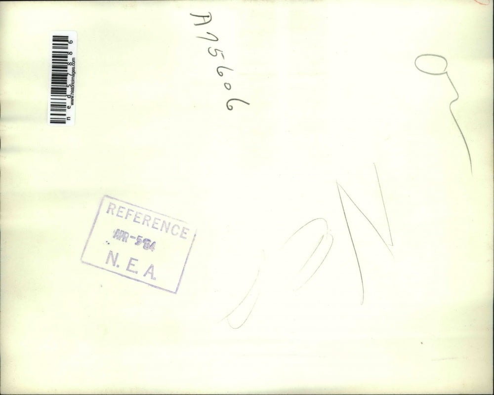 1954 Press Photo Director Fred Zinnemann & writer Daniel Taradash on Oscars