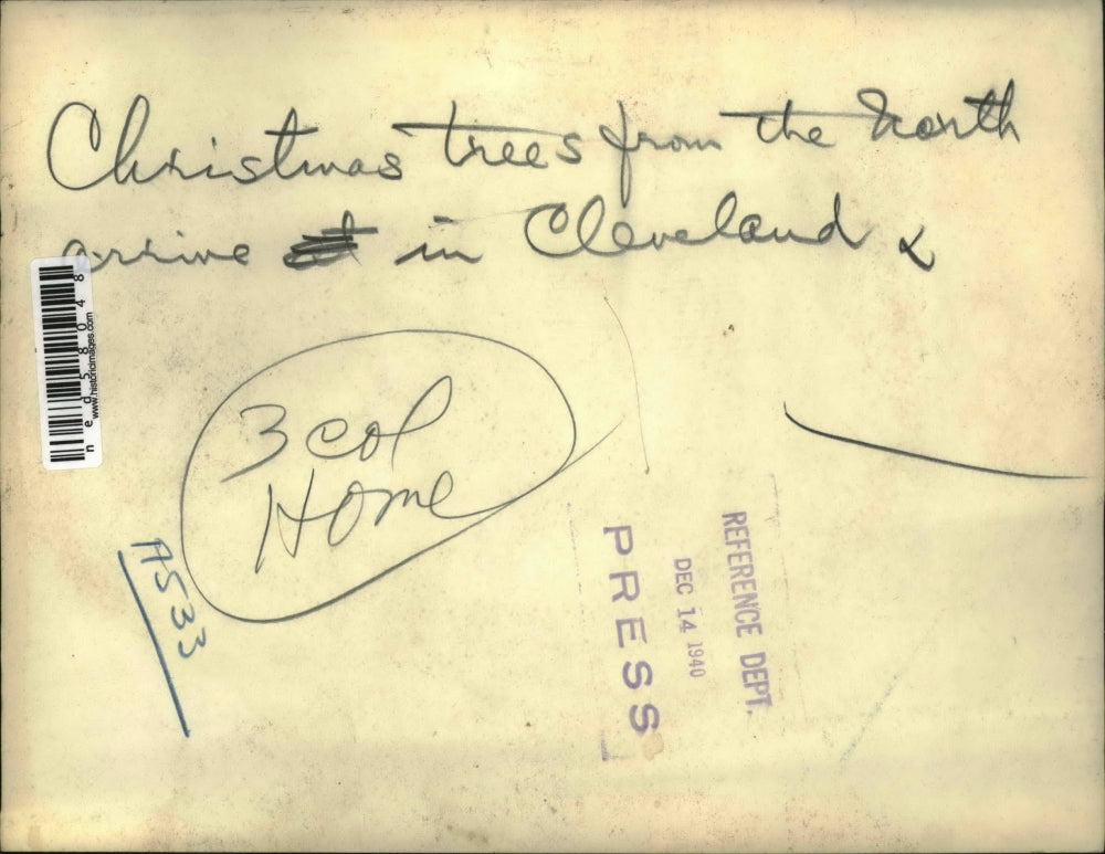 1940 Press Photo Christmas Tree from North