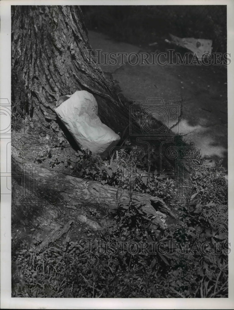 1957 Press Photo Euclid Garbage Disposal on Tree
