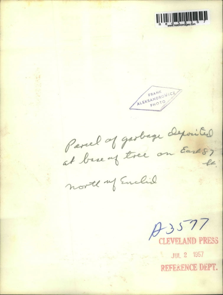 1957 Press Photo Euclid Garbage Disposal on Tree