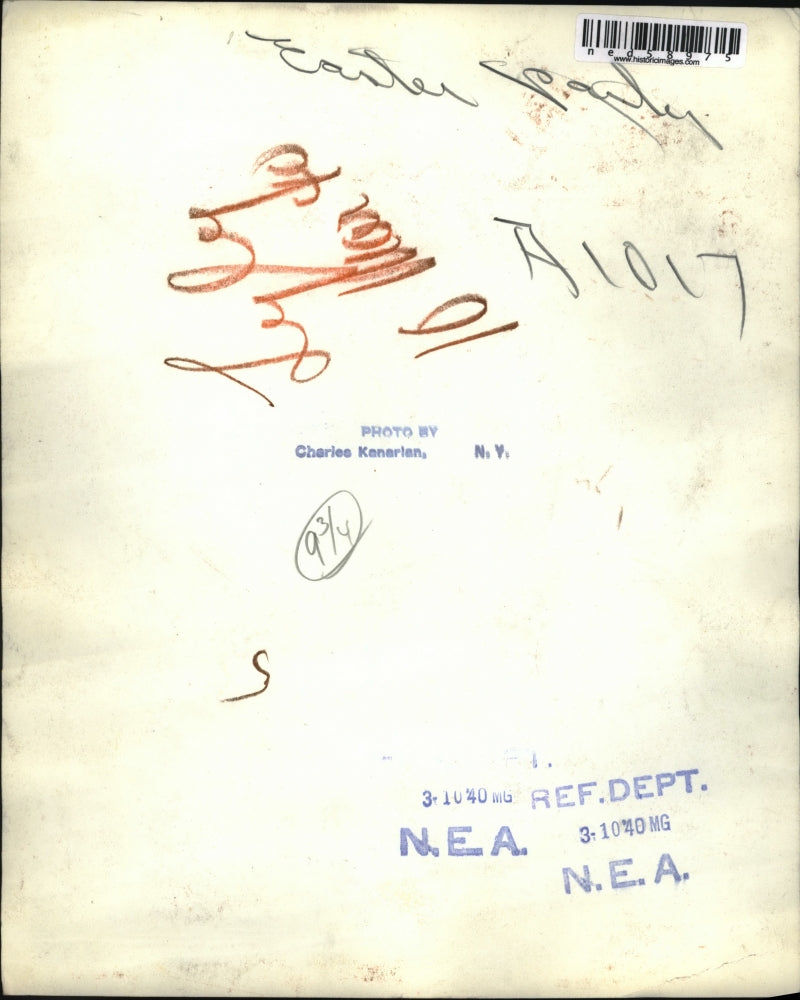 1940 Press PhotoEaster Bunny with huge carrot-look-like tree.