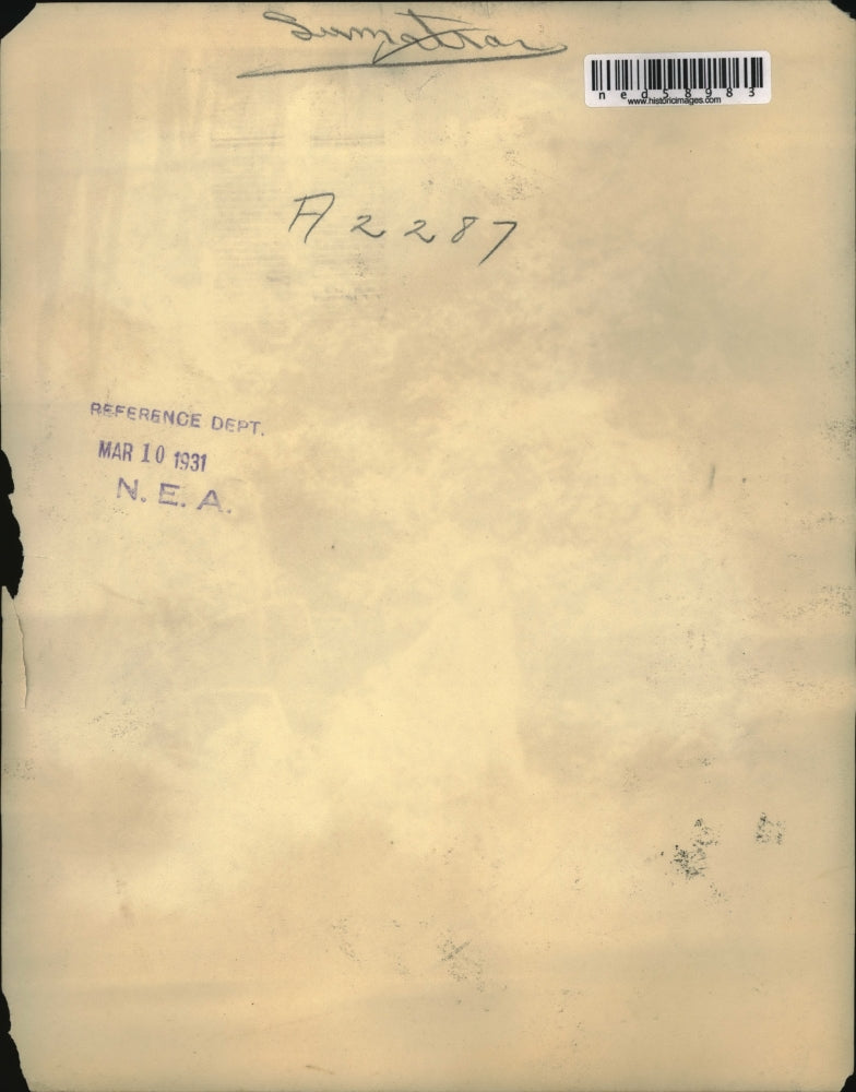 1931 Press Photo Sumatran