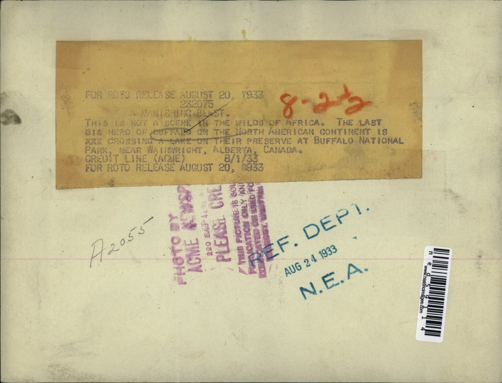 1933 Press Photo Big Herd of Buffalo on the North American Continent