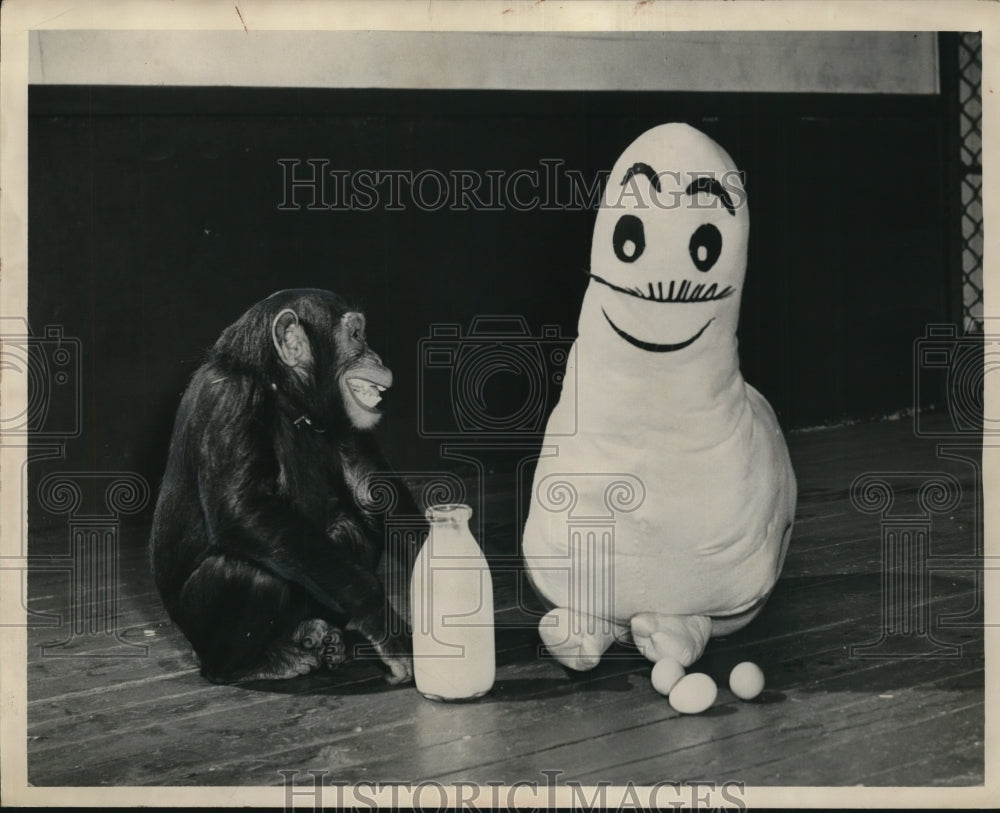 Press Photo Chimp with a doll, milk, and eggs