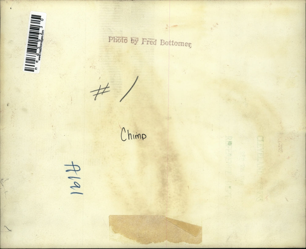 Press Photo Chimp with a doll, milk, and eggs