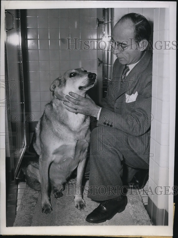 1946 Press Photo German shephers Dog Rex test for murder Clus of Otto R. Freud.