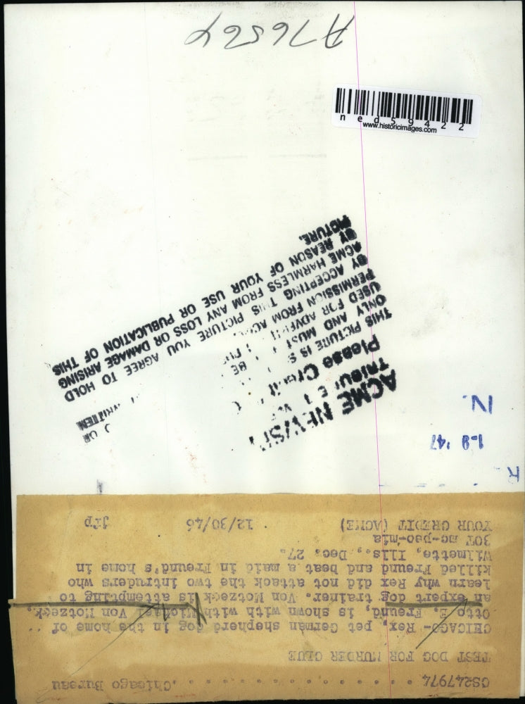 1946 Press Photo German shephers Dog Rex test for murder Clus of Otto R. Freud.