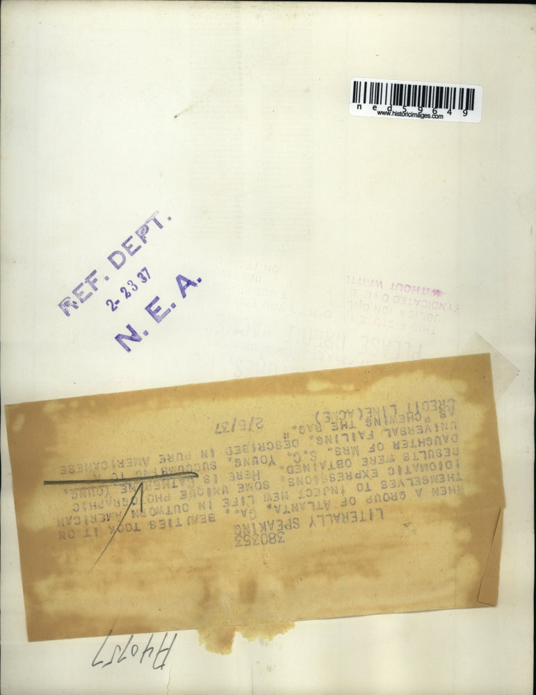 1937 Press Photo Catherine Young chewing rag