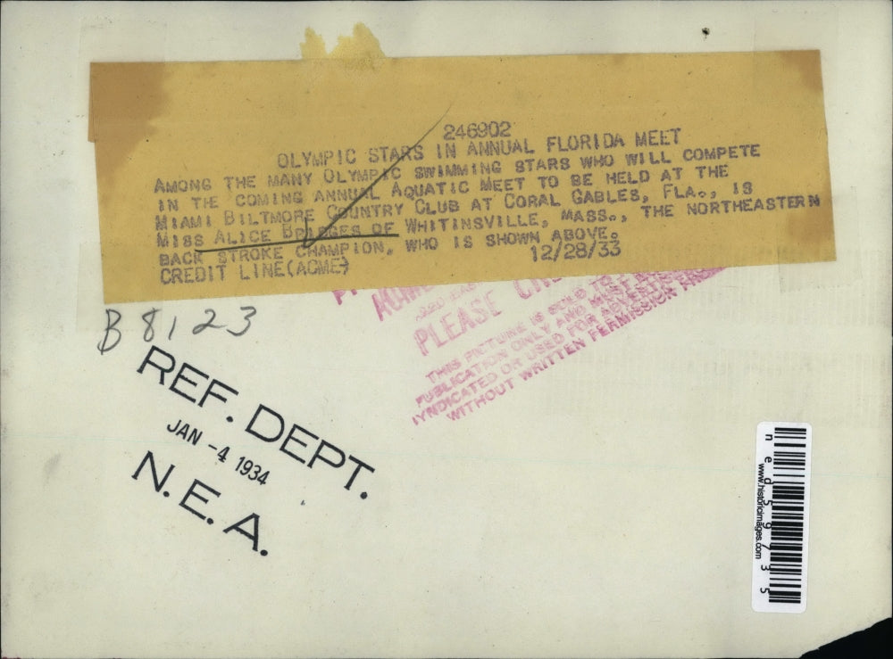 1933 Press Photo Olympic Swimming Miami Biltmore Coral Gables Florida Alice