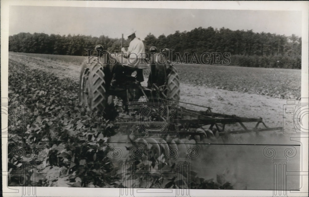 1943 Press Photo Farmer Wilson Lowe plows 35 acres of beans in Salisbury, Md