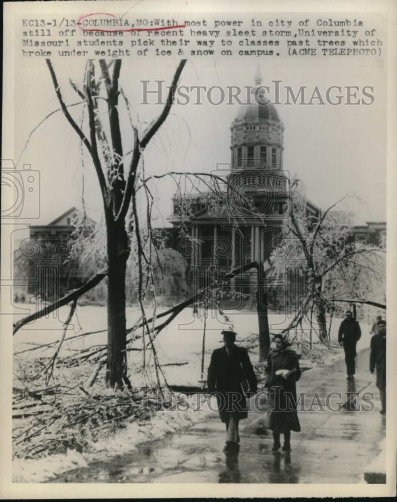 1949 Press Photo Columbia Mo heavy sleet destroys trees at the University