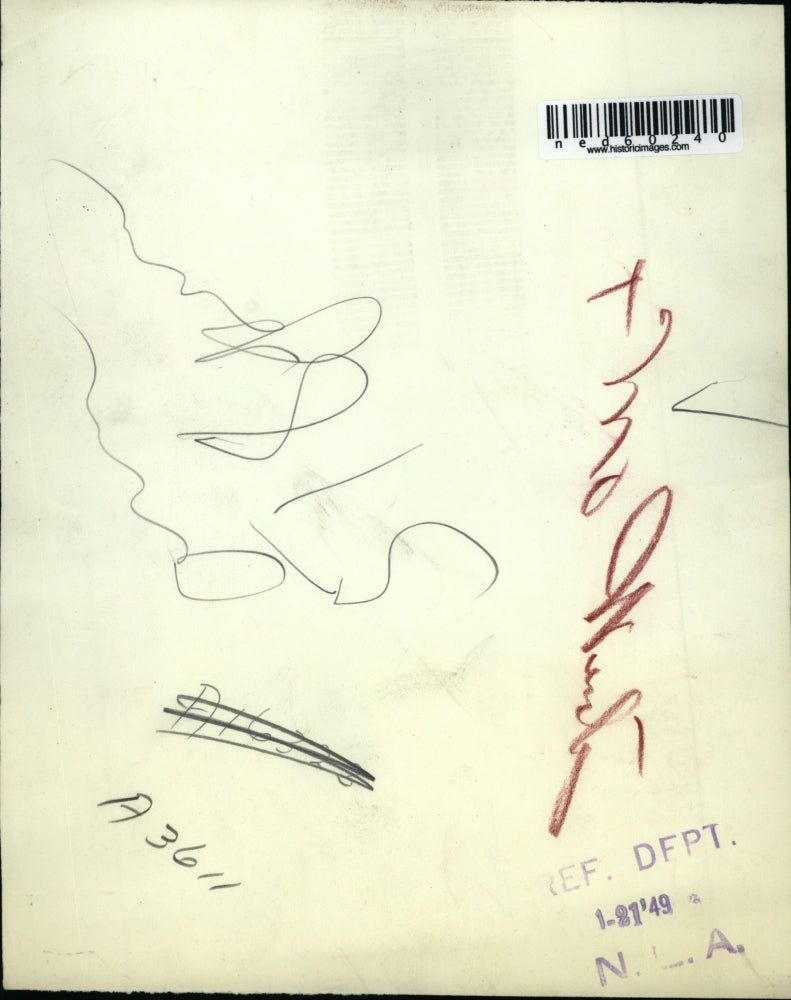 1949 Press Photo Columbia Mo heavy sleet destroys trees at the University