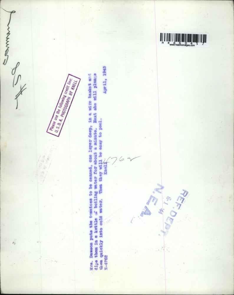 1944 Press Photo Mrs. Dawson puts the tomatoes to be canned one layer deep.