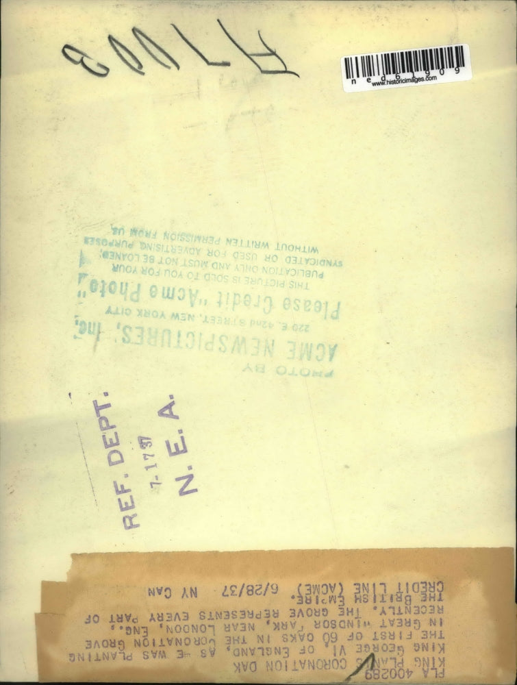 1937 Press Photo King George VI, of England, plants coronation Oak