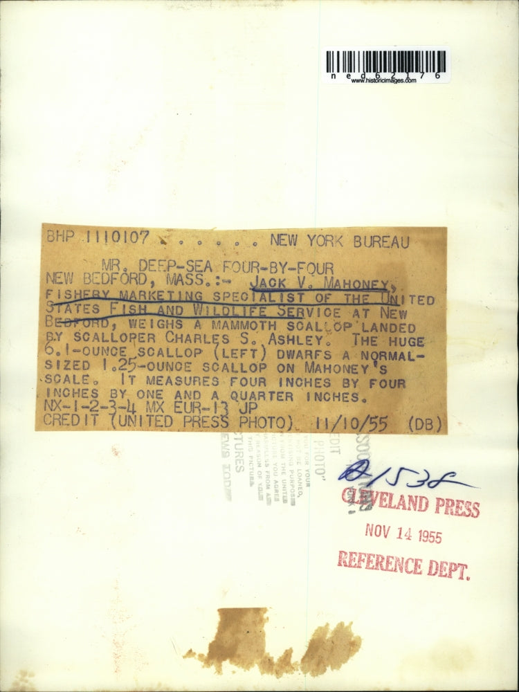 1955 Press Photo Jack Mahoney, fishery specialist of US Fish & Wildlife Service