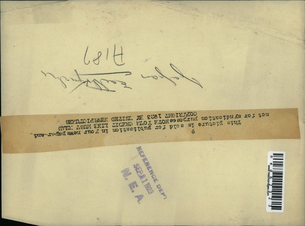 1923 Press Photo Devastation of a Japanese town by an earthquake