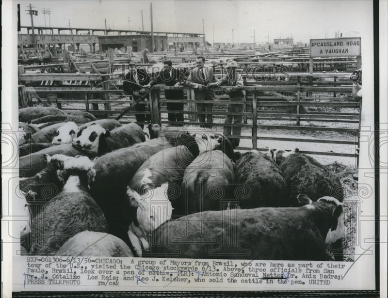 Load image into Gallery viewer, 1956 Press Photo Group of Mayors from Brazil visit Chicago stockyars
