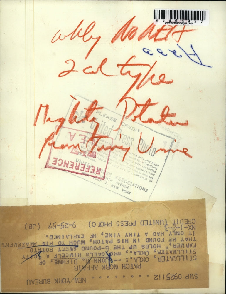 1957 Press Photo John W. Diehms with his 6 Pound Sweet Potato in Stillwater