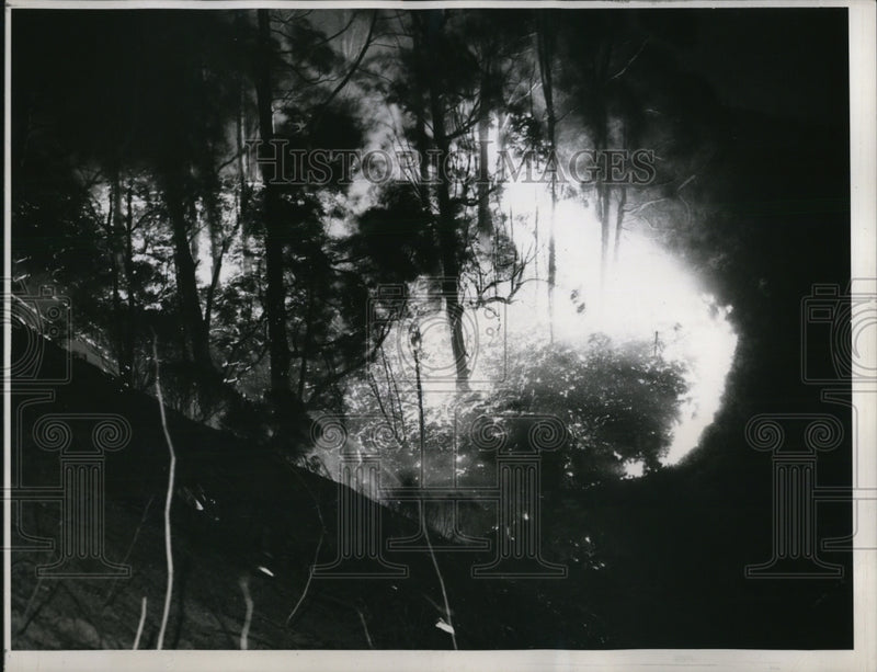 Load image into Gallery viewer, 1943 Press Photo San Francisco wild fires spread blown by winds
