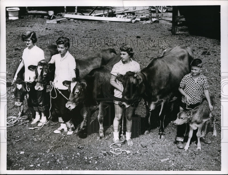 Load image into Gallery viewer, 1955 Press Photo Wichita Kansas LE Alexander Heifer cows &amp; triplet calves

