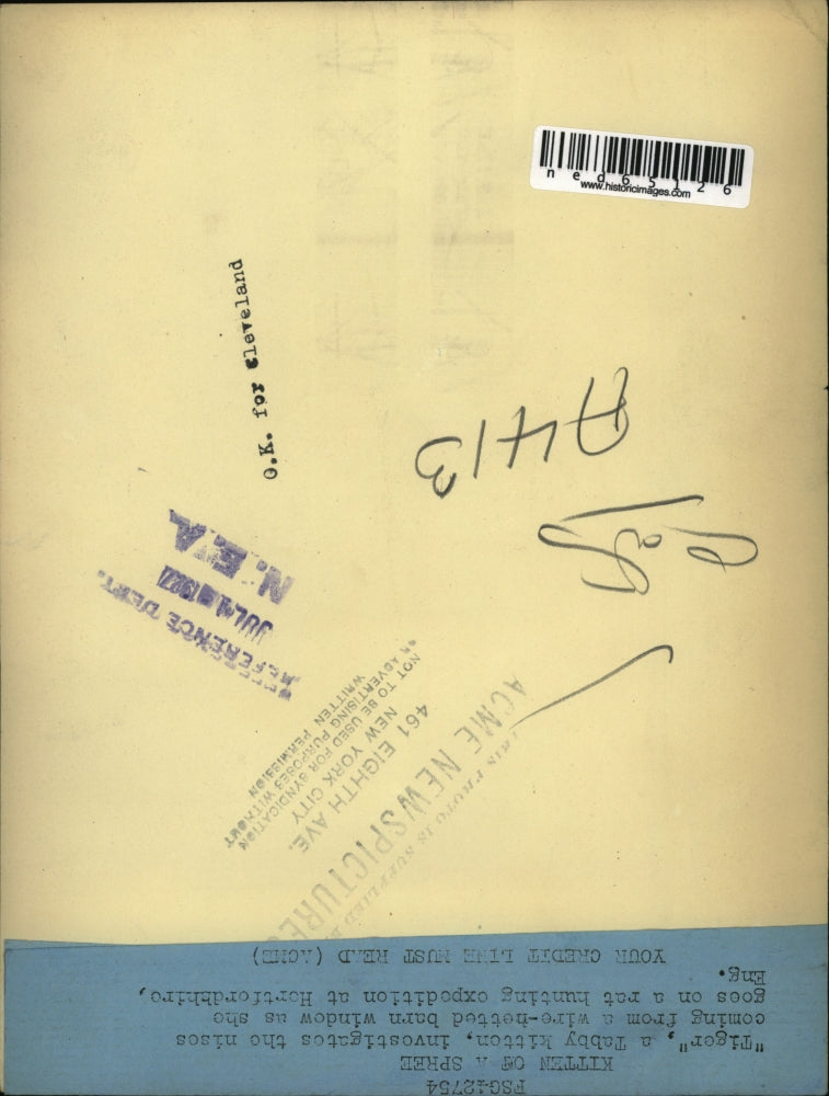 1927 Press Photo Tiger, a tabby cat, climbs barn window in Hertfordshire, UK