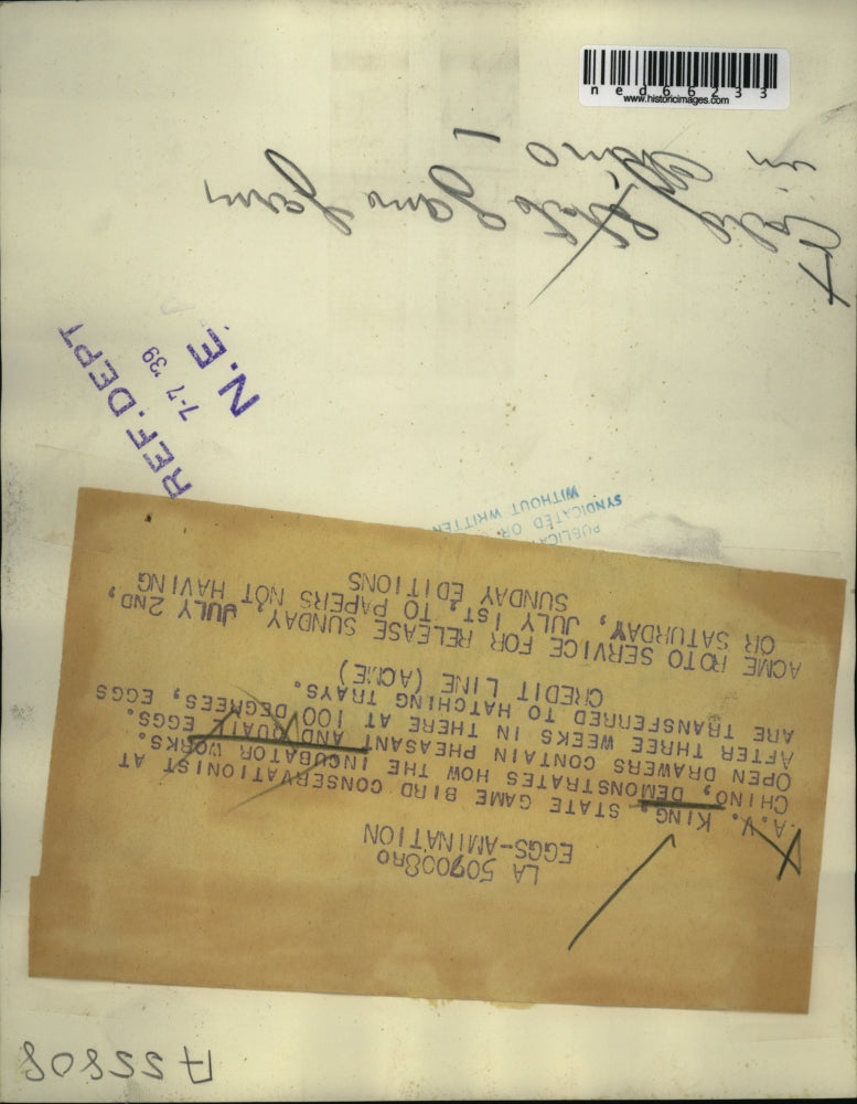 1939 Press Photo A.V. King State bird conservationist