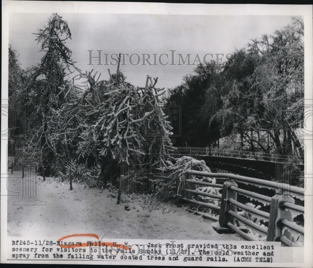 1949 Press Photo Niagara Falls NY winter snow makes pretty scenery